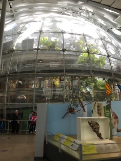 Butterflies are free...in the Reichstag?!?
